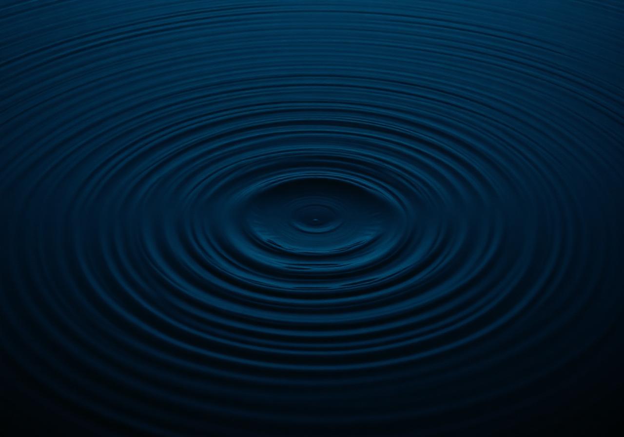 The Process — three glowing lotus flowers blooming on still water